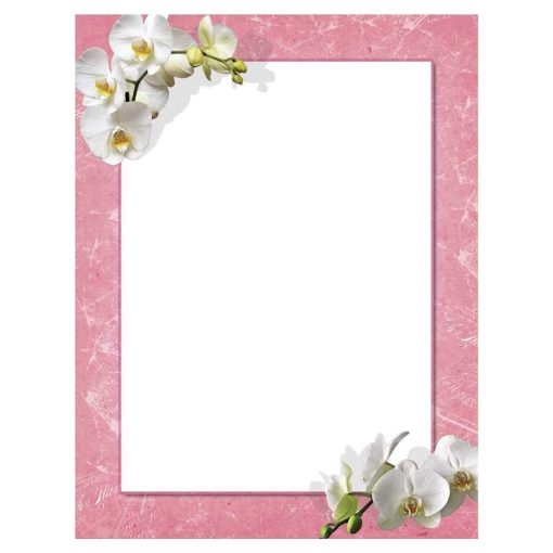White Orchids Flowers Spring Floral Paper